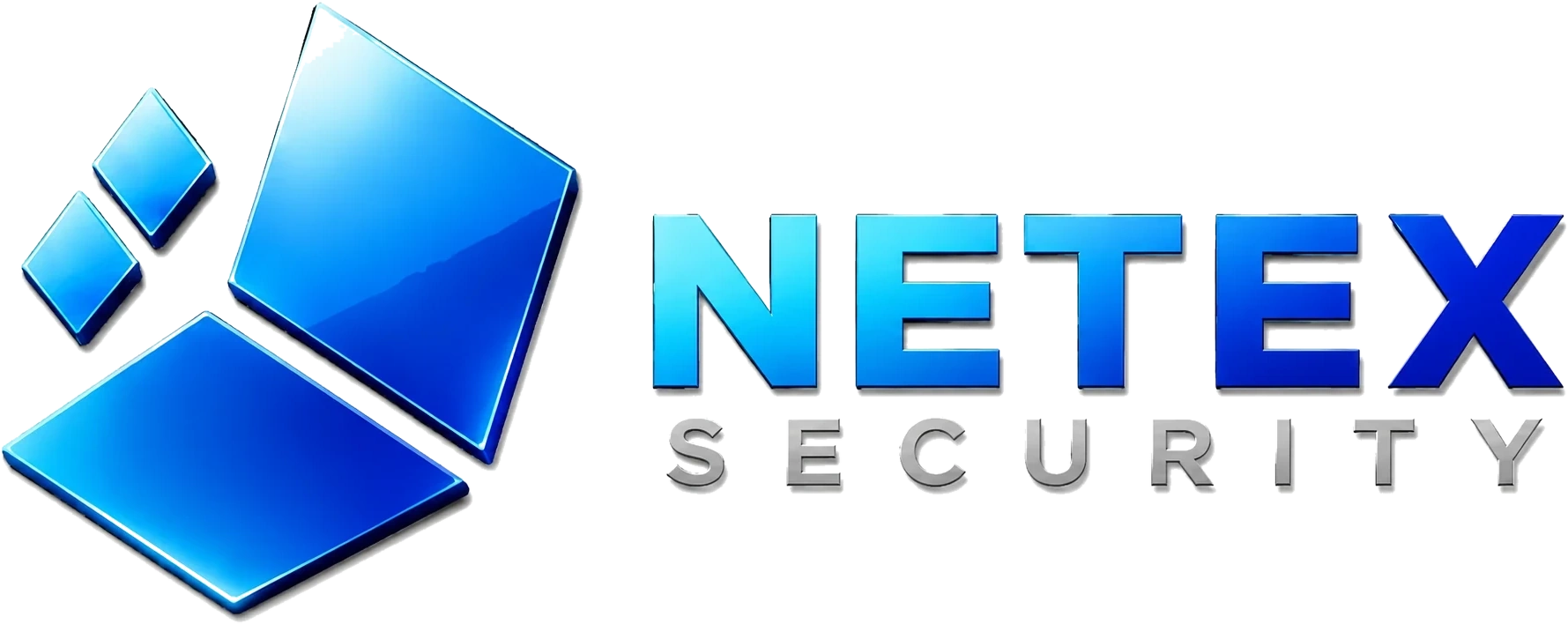Netex Security